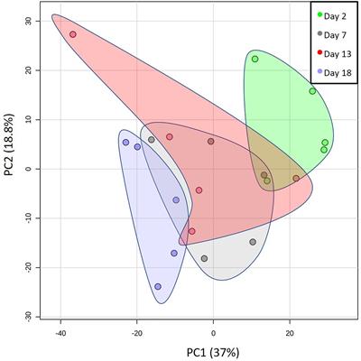 Atlantic Grey Seal Milk Shows Continuous Changes in Key Metabolites and Indicators of Metabolic Transition in Pups From Birth to Weaning